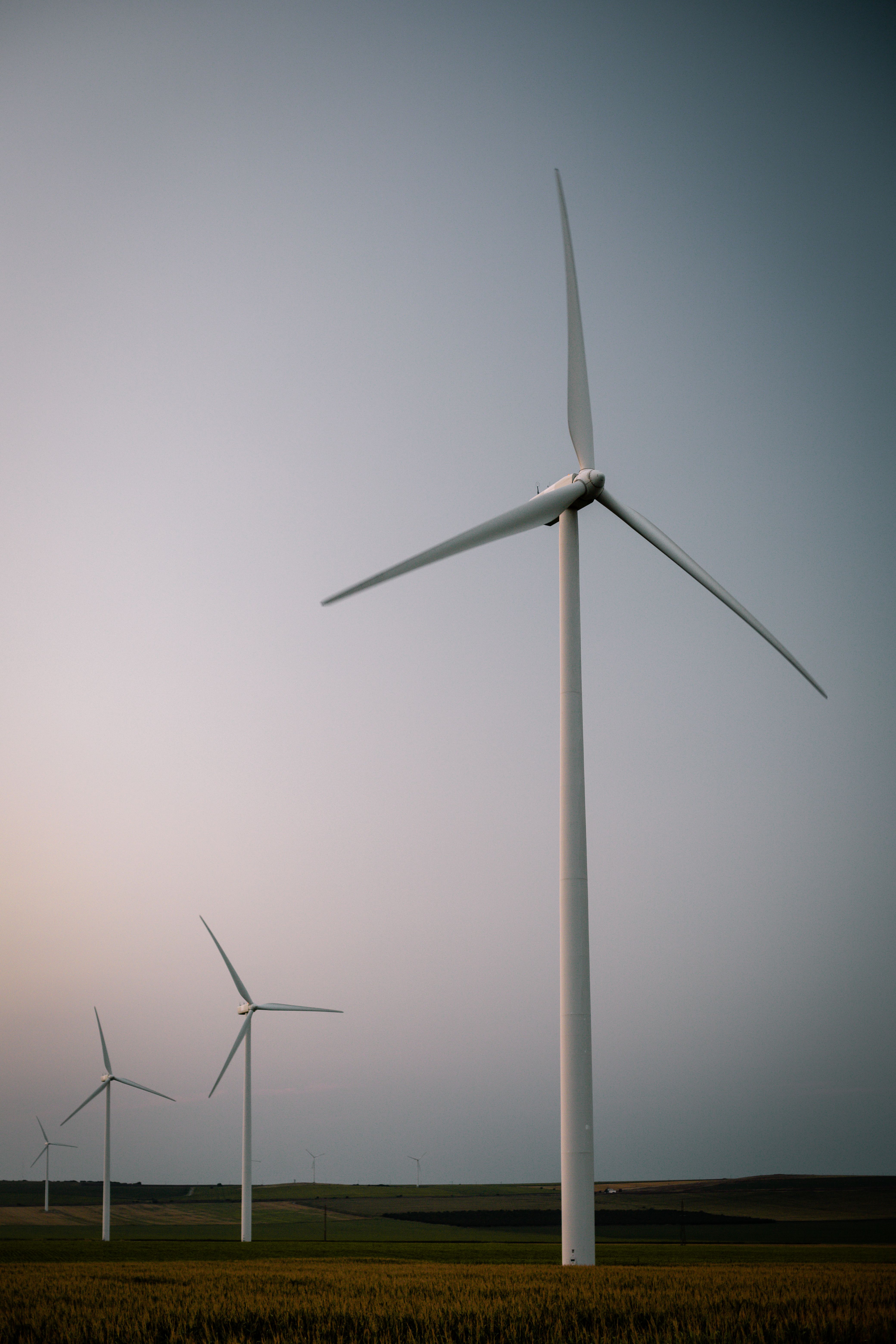 Renewable Energy